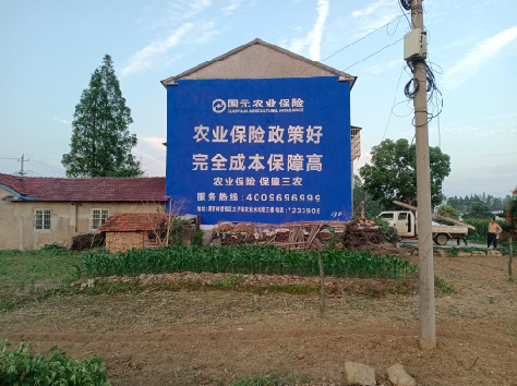 金阳墙体广告为何受追捧？