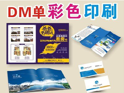 金阳单页印刷，色彩搭配简单。